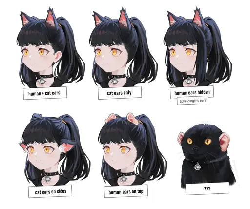 The six types of catgirls are pictured: human+cat ears, cat ears only, human ears hidden by hair, cat ears on side, human ears on top, human ears on cat