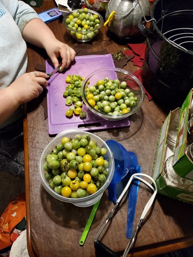 A bunch of green cherry tomatoes, some being cut in half and placed in another bowl.